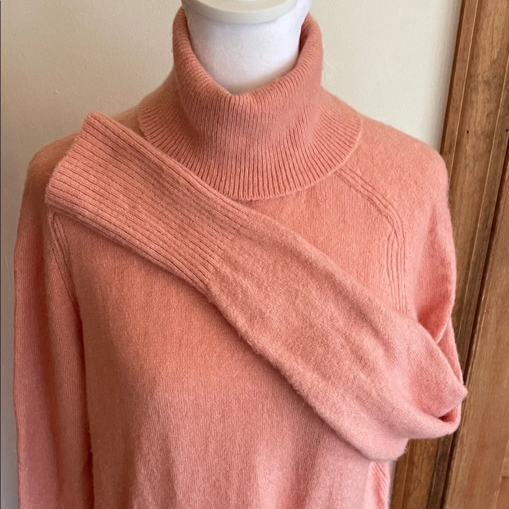J. Crew chic turtleneck